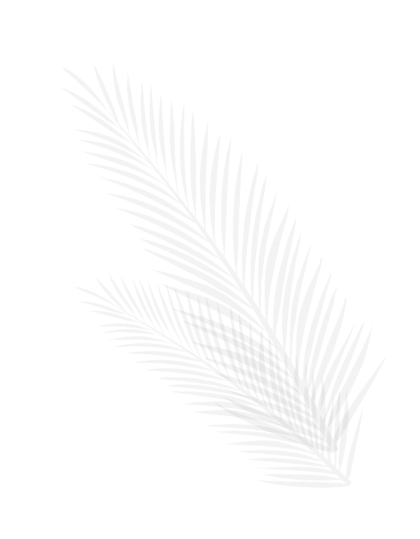Palm illustration