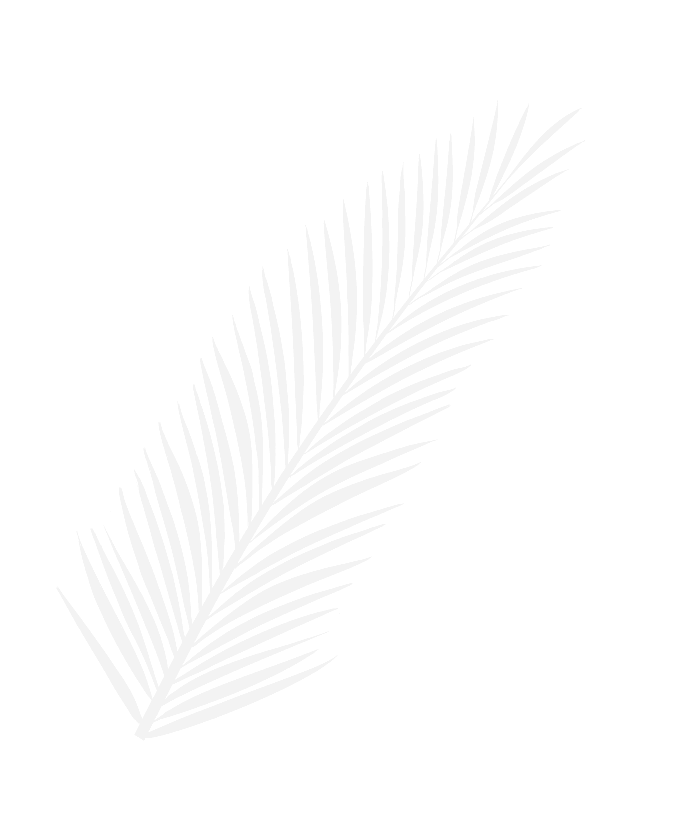 Palm illustration